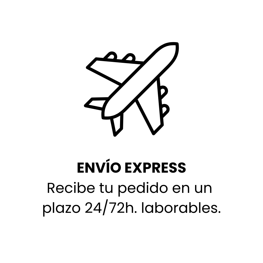 Imagen avion vectorial
